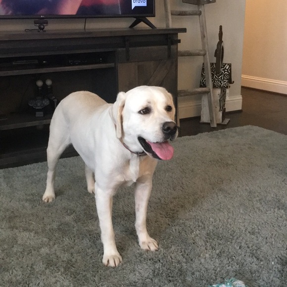 Meet your Posher, Julia - Picture 1 of 1